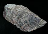 Rough Agatized Dinosaur Bone - Ounces #25520-1